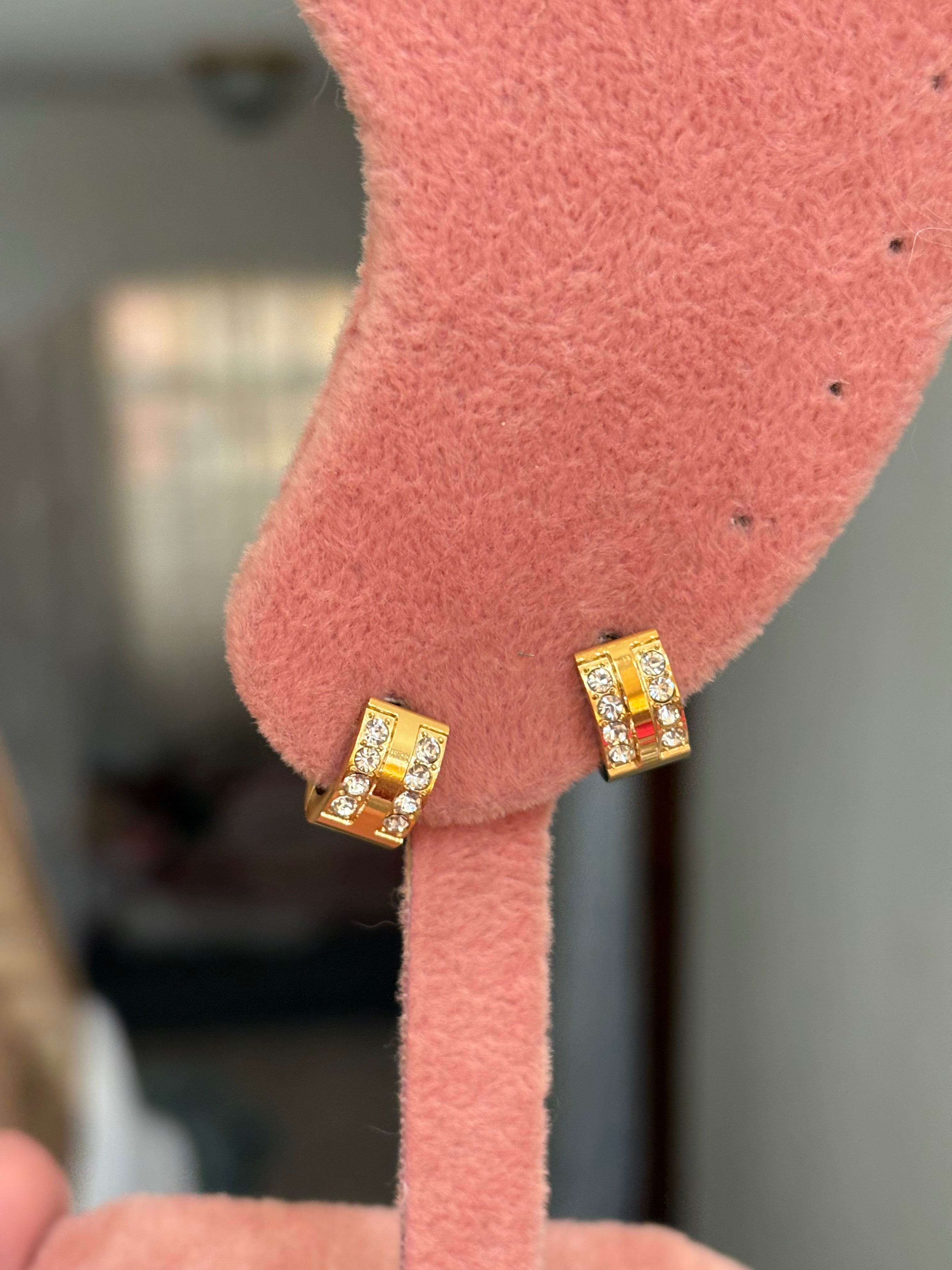 Pamp earring