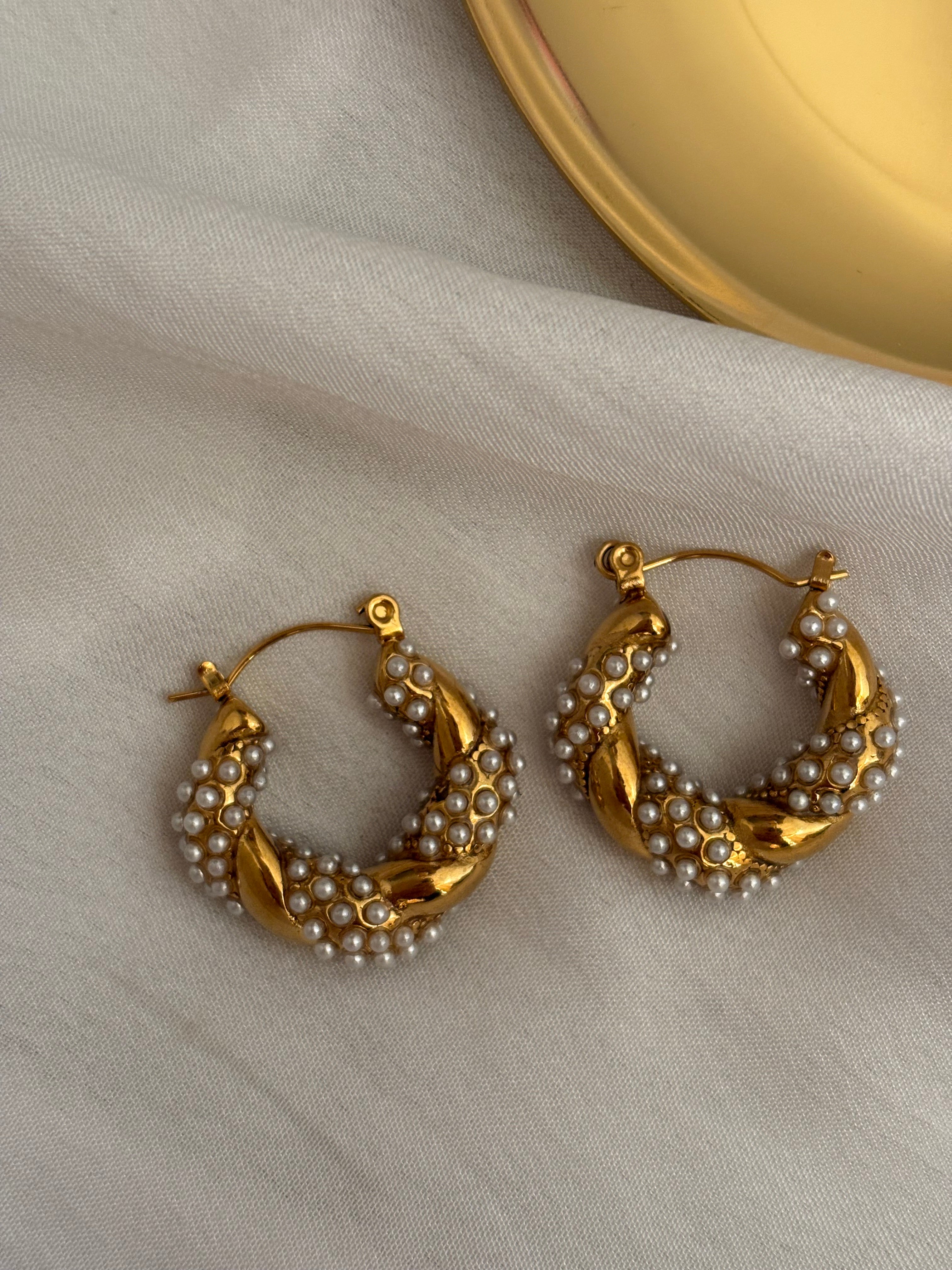 Prejudice pearl earring