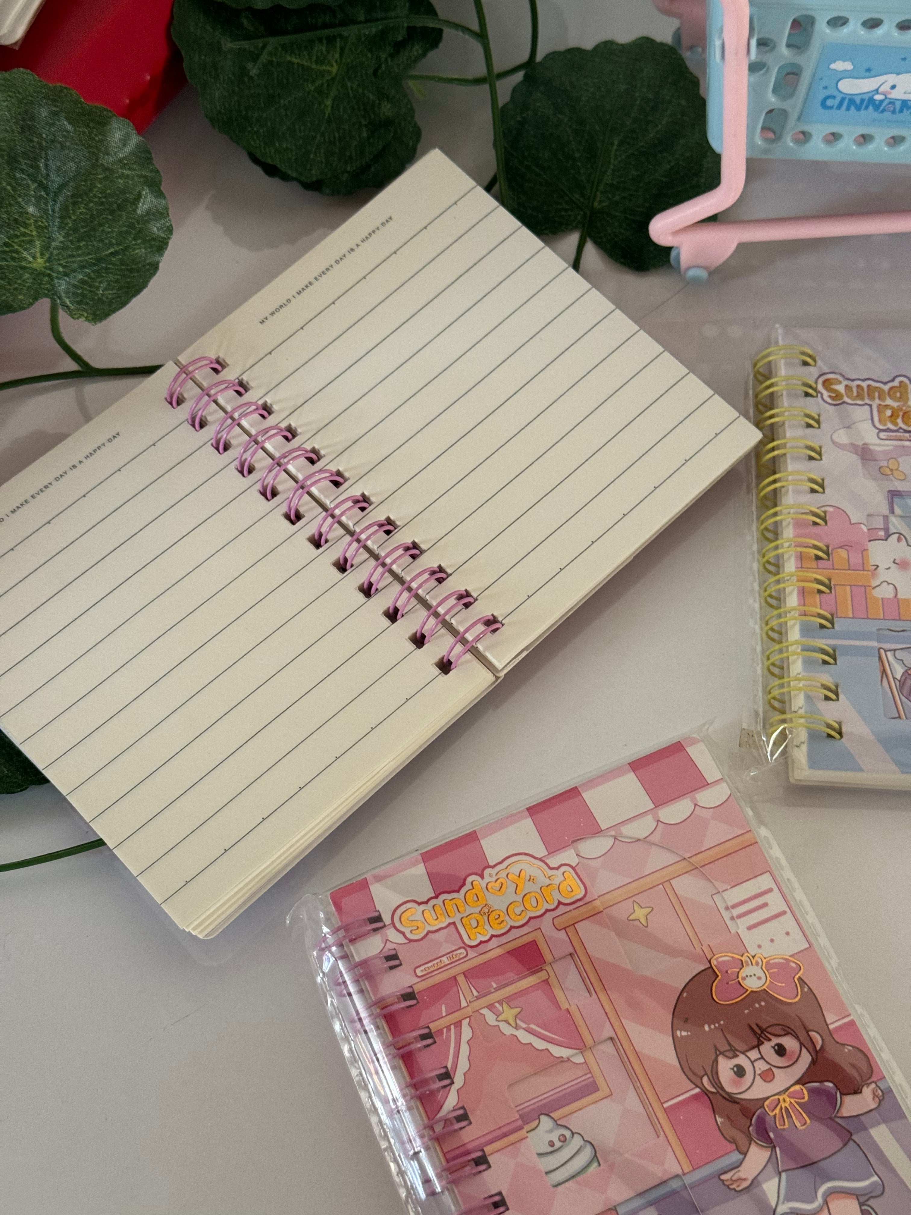 Cute small diary