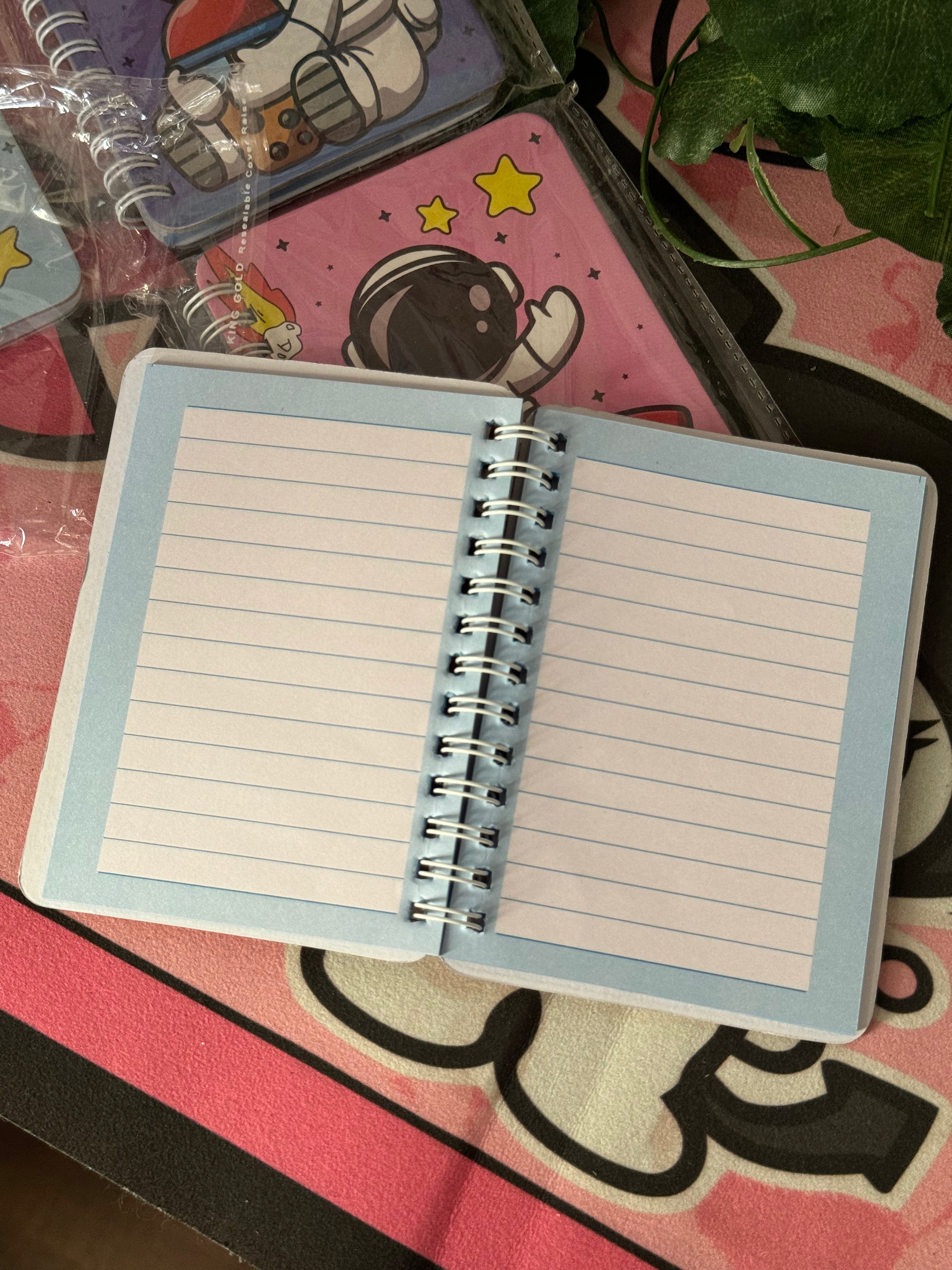 Space mini diary