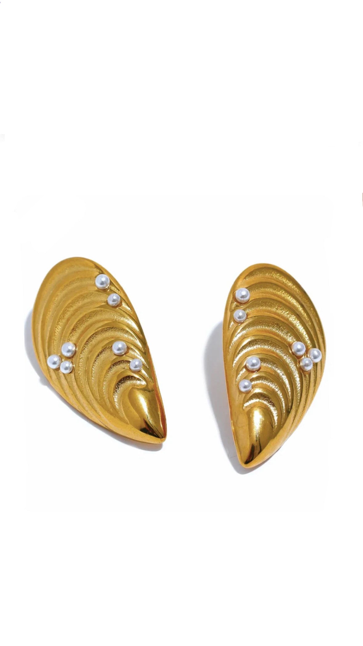 Coastal earring